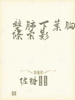 双肺下叶胸膜下条索影