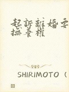 起诉离婚要孩子抚养权封面