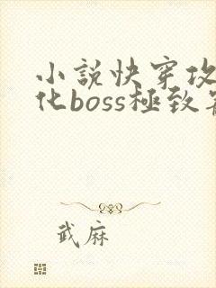 小说快穿攻略黑化boss极致宠封面