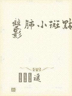 双肺小斑点结节影封面