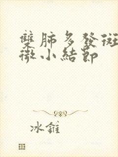 双肺多发斑点及微小结节