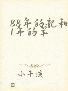 88年的龙和91年的羊