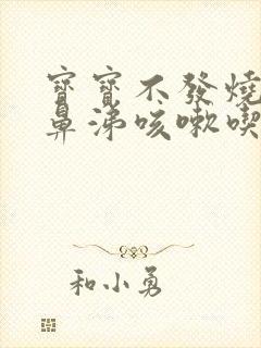 宝宝不发烧只流鼻涕咳嗽吃什么药