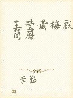 王莹黄梅戏个人简历