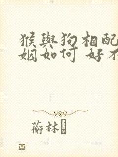 猴与狗相配的婚姻如何 好不好呢