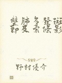 双肺多发斑片结节及索条影封面