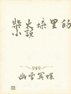 柴火垛里的疯狂小说