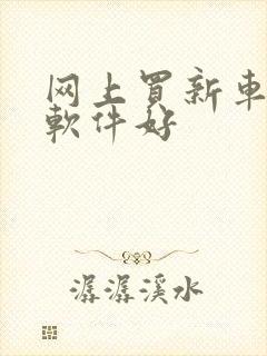 网上买新车哪个软件好