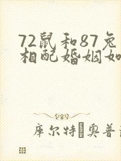 72鼠和87兔相配婚姻如何