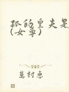 孤的皇夫是美男(女尊)