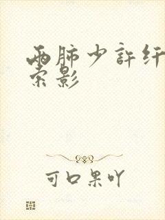 两肺少许纤维条索影