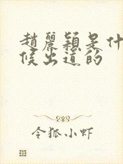 赵丽颖是什么时候出道的