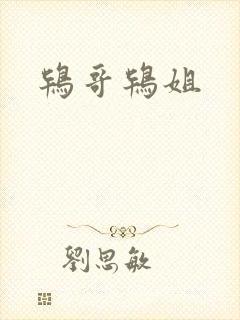 鸨哥鸨姐