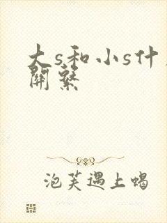 大s和小s什么关系