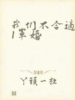 我们不合适1v1军婚