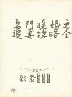 名门暖婚之权爷追妻攻略全文免费阅读封面