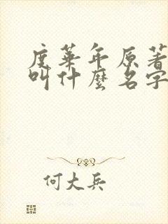 度华年原著小说叫什么名字