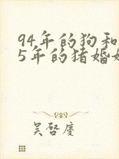 94年的狗和95年的猪婚姻合婚吗