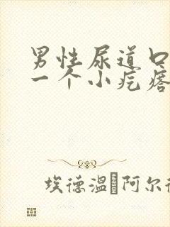 男性尿道口长了一个小疙瘩是怎么回事