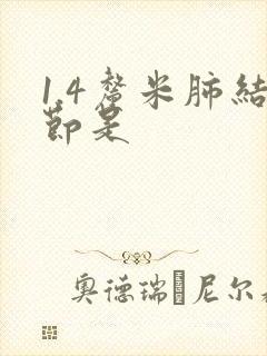 1.4厘米肺结节是