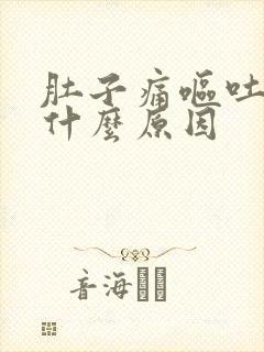 肚子痛呕吐头晕什么原因