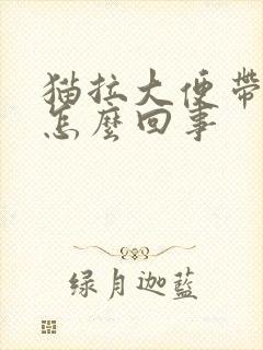 猫拉大便带血是怎么回事封面