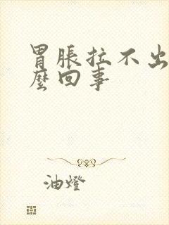 胃胀拉不出屎怎么回事封面