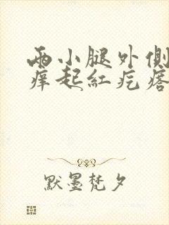 两小腿外侧对称痒起红疙瘩