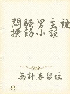 闷骚男主被女主撩的小说
