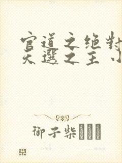 官道之绝对权力天选之主 小说阅读