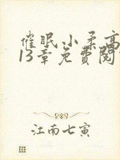 催眠小柔高达第13章免费阅读