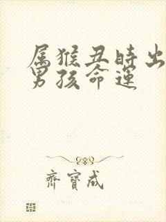 属猴丑时出生的男孩命运