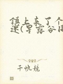 镇上来了个万人迷(星露谷同人)笔趣阁