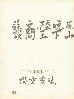 苏文,陆晚风小说阎王下山封面