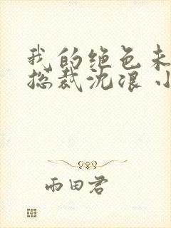 我的绝色未婚妻总裁沈浪 小说封面