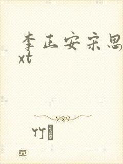 李正安宋思雅txt封面