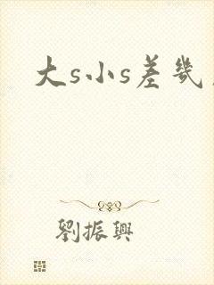 大s小s差几岁