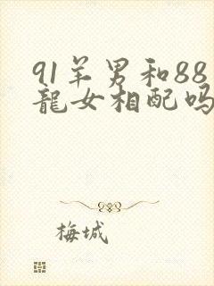 91羊男和88龙女相配吗