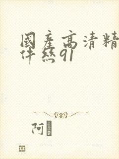 国产高清精品软件丝91