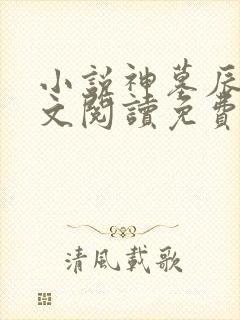 小说神墓辰东全文阅读免费