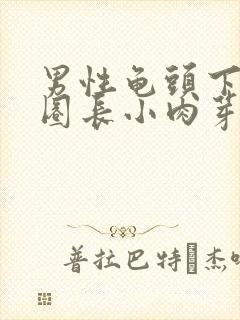 男性龟头下面一圈长小肉芽封面