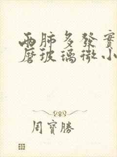 两肺多发实性及磨玻璃微小结节