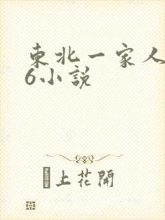 东北一家人1一6小说
