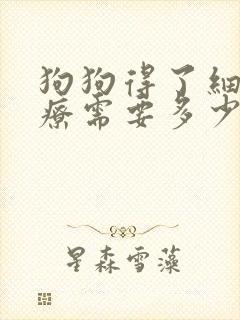 狗狗得了细小治疗需要多少钱