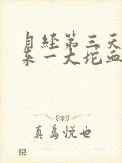 月经第三天掉出来一大坨血块封面