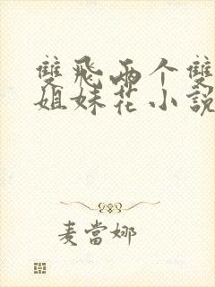 双飞两个双胞胎姐妹花小说