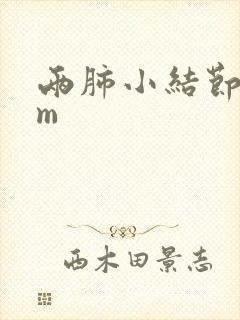 两肺小结节5mm封面