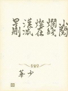 星汉灿烂小说无删减在线阅读封面