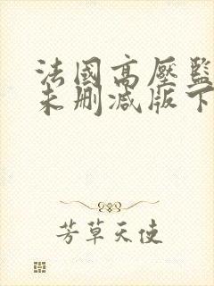 法国高压监狱3未删减版下载