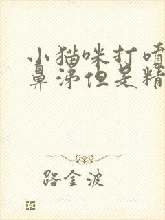 小猫咪打喷嚏流鼻涕但是精神状态还可以